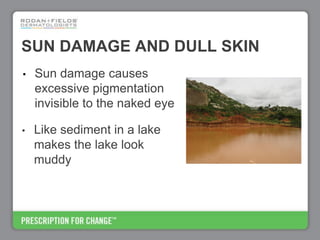 Rodan+Fields Business Opportunity