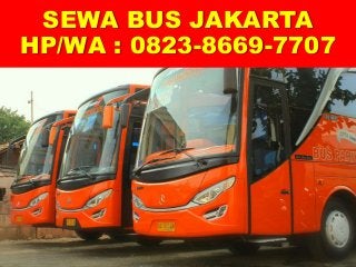 SEWA BUS JAKARTA
HP/WA : 0823-8669-7707
 