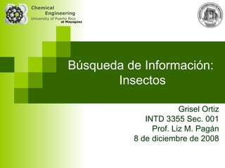Búsqueda de Información:  Insectos Grisel Ortiz INTD 3355 Sec. 001 Prof. Liz M. Pagán 8 de diciembre de 2008 