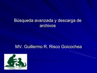 Búsqueda avanzada y descarga de
archivos
MV. Guillermo R. Risco Goicochea
 