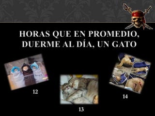 12
          14

     13
 