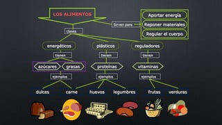 LOS ALIMENTOS
clases
Sirven para
tienen tienen tienen
ejemplos ejemplos ejemplos
dulces huevos legumbres frutas verdurascarne
energéticos
proteínas
plásticos reguladores
Reponer materiales
Aportar energía
Regular el cuerpo
vitaminasazúcares grasas
 