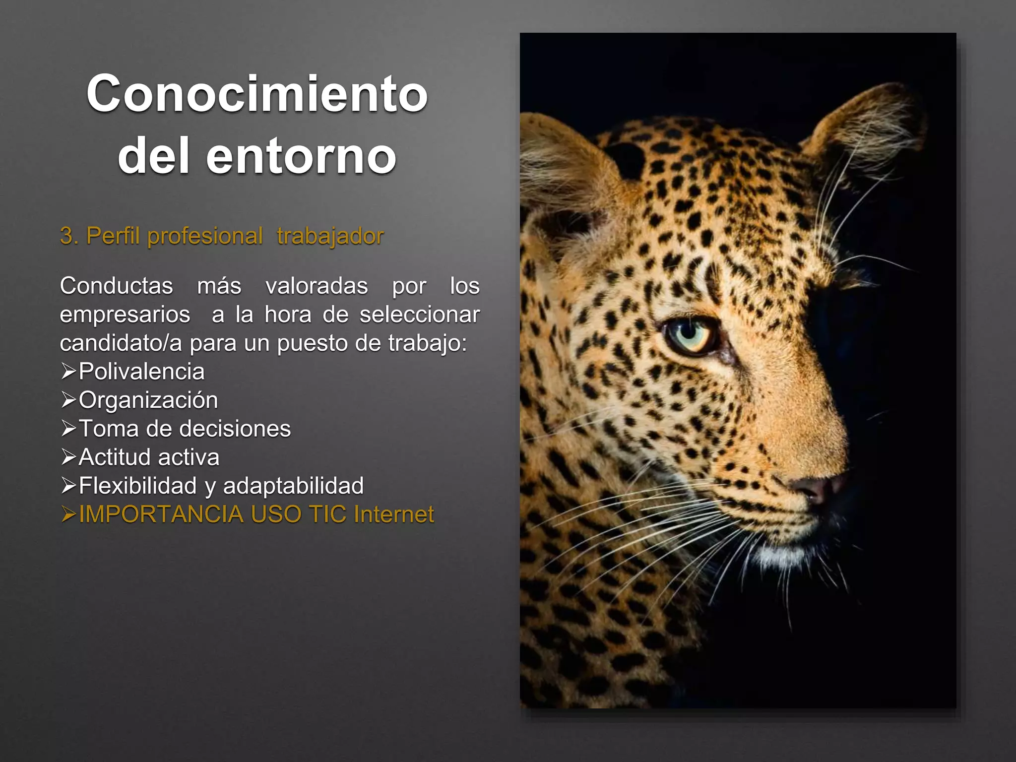 Conocimiento
del entorno
3. Perfil profesional trabajador
Conductas más valoradas por los
empresarios a la hora de seleccionar
candidato/a para un puesto de trabajo:
Polivalencia
Organización
Toma de decisiones
Actitud activa
Flexibilidad y adaptabilidad
IMPORTANCIA USO TIC Internet
 