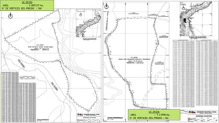 UC.05326
AREA : 7.23709 Ha.
N° DE VERTICES DEL PREDIO : 132
UC.05355
AREA : 2.007317 Ha.
N° DE VERTICES DEL PREDIO : 104
 