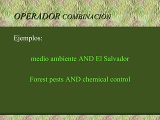 OPERADOR COMBINACION

Ejemplos:

     medio ambiente AND El Salvador

     Forest pests AND chemical control
 