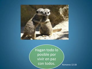 Hagan todo lo
 posible por
 vivir en paz
 con todos.     Romanos 12:18
 