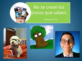 No se crean los
únicos que saben.
      Romanos 12:16
 