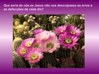 Que seria de nós se Jesus não nos desculpasse os erros e as defecções de cada dia?  