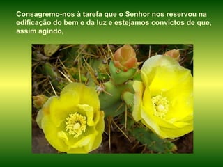 Consagremo-nos à tarefa que o Senhor nos reservou na edificação do bem e da luz e estejamos convictos de que, assim agindo,  
