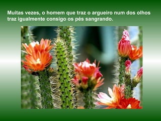 Muitas vezes, o homem que traz o argueiro num dos olhos traz igualmente consigo os pés sangrando.  