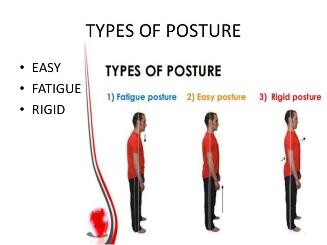 types of postures