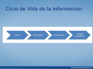 No existe una sola versión verdadera de la información