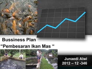 Bussiness Plan
Junaedi Alwi
2012 – 12 -346
“Pembesaran Ikan Mas “
 