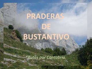 PRADERAS  DE  BUSTANTIVO *Rutas por Cantabria. 