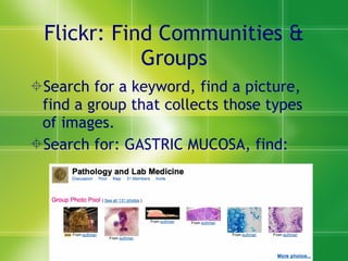 Flickr: Find Communities & Groups Search for a keyword, find a picture, find a group that collects those types of images. Search for: GASTRIC MUCOSA, find: 