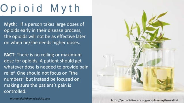 Busting Opioids Myths Ppsx