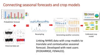 Busting the myth that pilots never scale: Unpacking the USAID climate services for resilient development strategy in LAC
