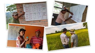 Busting the myth that pilots never scale: Unpacking the USAID climate services for resilient development strategy in LAC