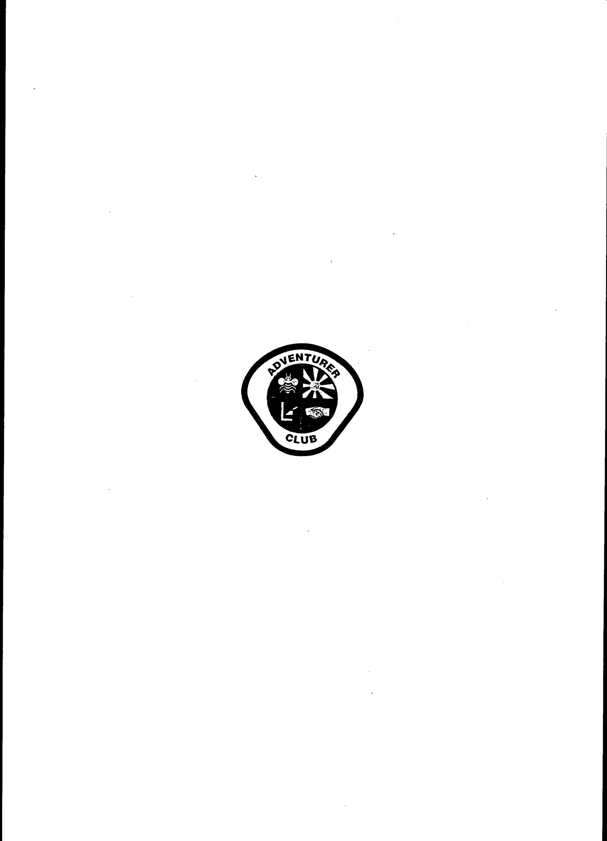 B usy bee activity book