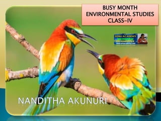 BUSY MONTH
ENVIRONMENTAL STUDIES
CLASS-IV
 