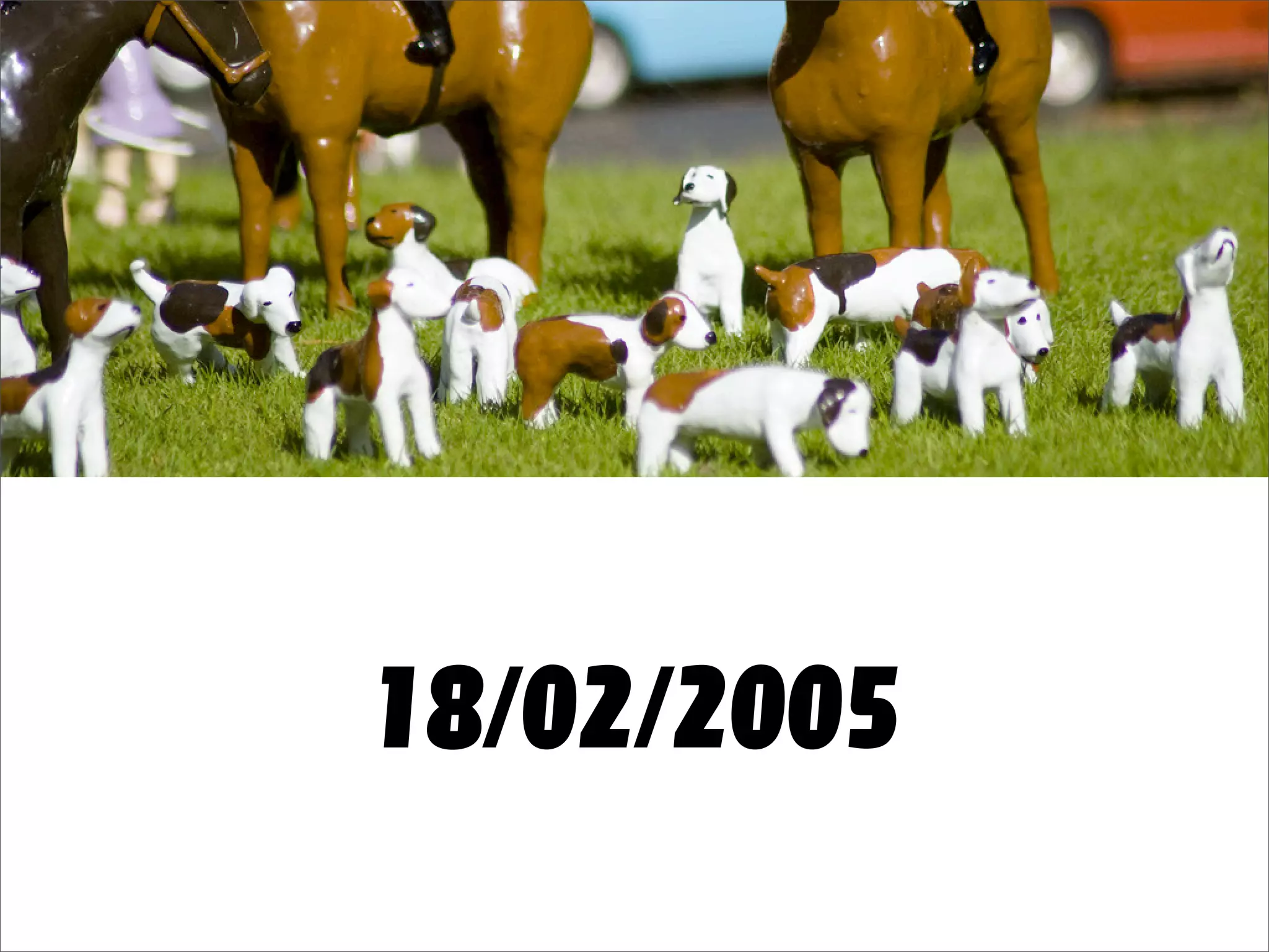 But I'm a Bloody Designer!