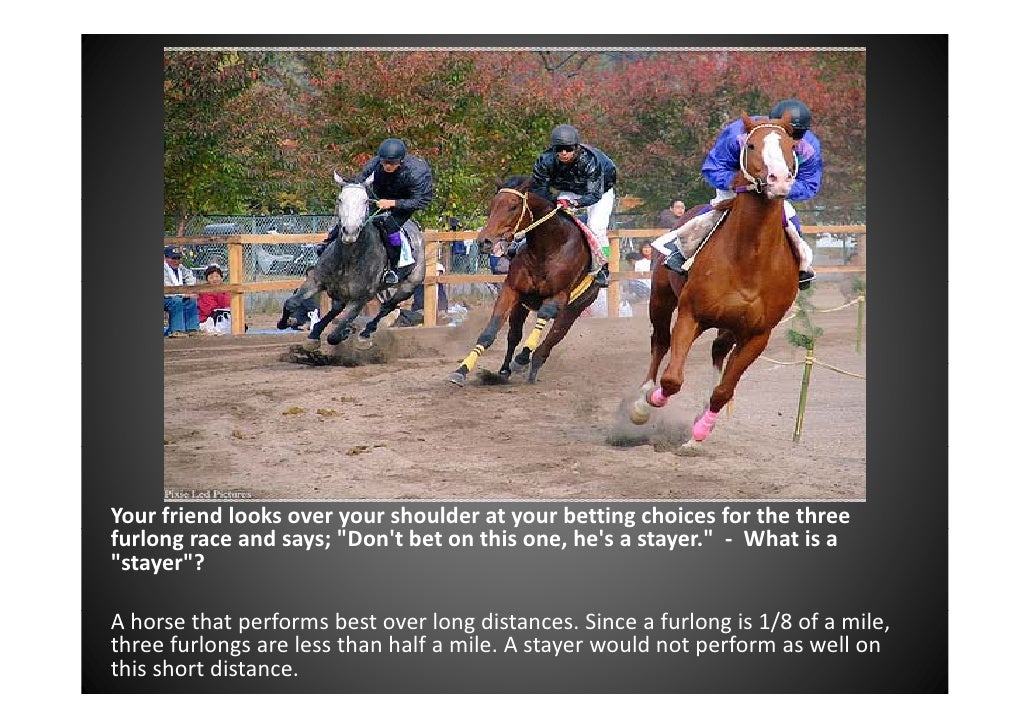 what does nb mean in horse racing what does nb mean in horse racing