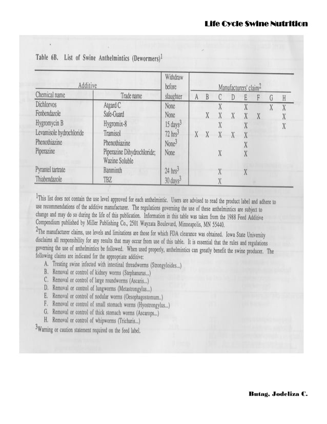 Life Cycle Swine Nutrition PDF Nutrition Healthy Living
