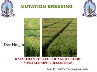 MUTATION BREEDING
Dev Hingra
Mail Id- mail2devhingra@gmail.com
RAJASTHAN COLLEGE OFAGRICULTURE
MPUAT,UDAIPUR (RAJASTHAN)
 
