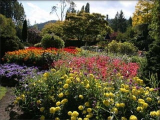Butchart+garden | PPS