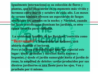 Igualmente internacional es su colección de flores y plantas, que se encuentran en su momento más vívido y hermoso entre marzo y octubre de cada año. Los meses de verano también ofrecen un espectáculo de fuegos artificiales los sábados en la noche; y Navidad, cuando las luces centelleantes iluminan los jardines, es otra época favorita para visitarlos. La residencia familiar de los Butchart, conocida como  “Benvenuto”  ('bienvenido' en italiano), está abierta durante el invierno.  Pero es la flora colorida lo que hace tan especial este lugar: desde prímulas y narcisos hasta azaleas y begonias, y desde el jardín sumergido hasta el jardín de rosas, la amplitud de deleites verdes producidos por sus diestros jardineros es una fiesta para los ojos. Ven y pruébalo por tí mismo.  