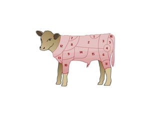 Butcher's vocabulary