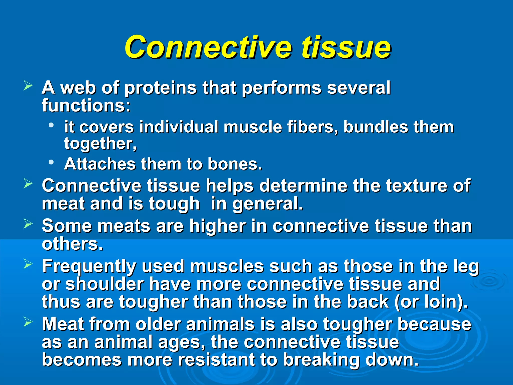 Connective tissueConnective tissue
 A web of proteins that performs severalA web of proteins that performs several
functions:functions:

it covers individual muscle fibers, bundles themit covers individual muscle fibers, bundles them
together,together,

Attaches them to bones.Attaches them to bones.
 Connective tissue helps determine the texture ofConnective tissue helps determine the texture of
meat and is tough in general.meat and is tough in general.
 Some meats are higher in connective tissue thanSome meats are higher in connective tissue than
others.others.
 Frequently used muscles such as those in the legFrequently used muscles such as those in the leg
or shoulder have more connective tissue andor shoulder have more connective tissue and
thus are tougher than those in the back (or loin).thus are tougher than those in the back (or loin).
 Meat from older animals is also tougher becauseMeat from older animals is also tougher because
as an animal ages, the connective tissueas an animal ages, the connective tissue
becomes more resistant to breaking down.becomes more resistant to breaking down.
 