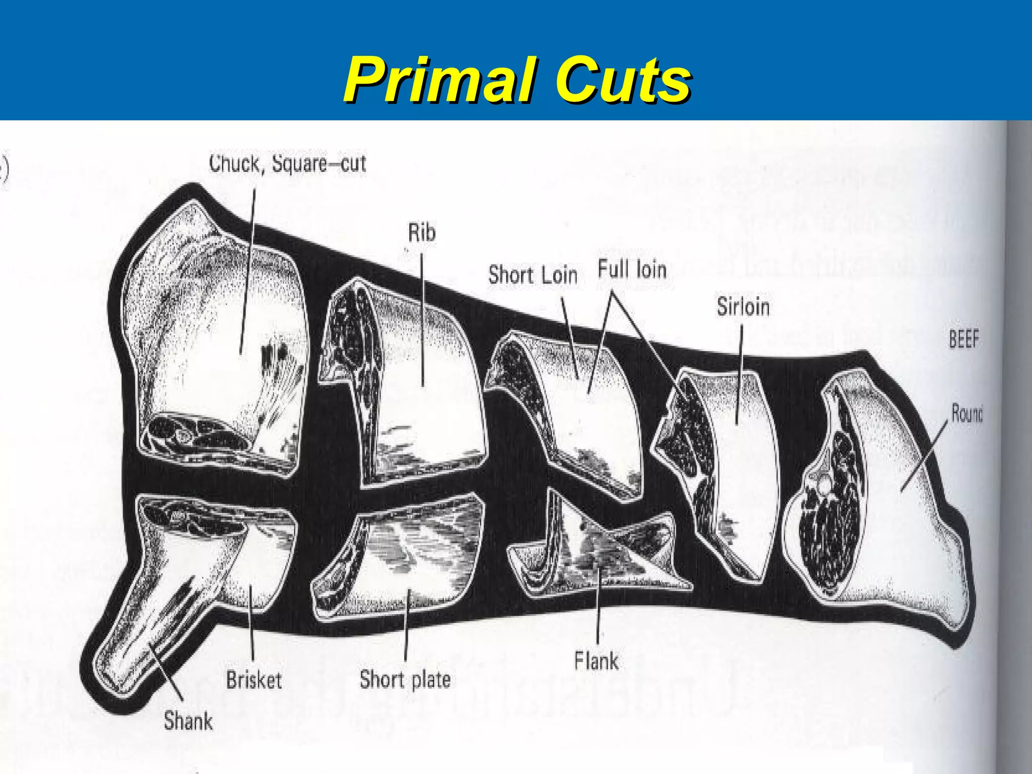 Primal CutsPrimal Cuts
 