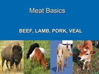 Meat BasicsMeat Basics
BEEF, LAMB, PORK, VEALBEEF, LAMB, PORK, VEAL
 