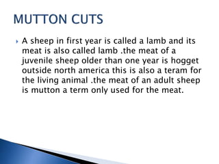 Butchery | PPTX