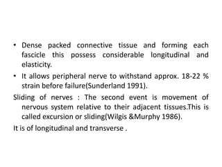 • Dense packed connective tissue and forming each
fascicle this possess considerable longitudinal and
elasticity.
• It allows peripheral nerve to withstand approx. 18-22 %
strain before failure(Sunderland 1991).
Sliding of nerves : The second event is movement of
nervous system relative to their adjacent tissues.This is
called excursion or sliding(Wilgis &Murphy 1986).
It is of longitudinal and transverse .

 