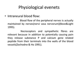 Physiological evenets
• Intraneural blood flow:
Blood flow of the peripheral nerves is actually
maintained by nerves(nervi vasa nervorum)(Bove&Light
1995).
Nocioceptors and sympathetic fibres are
relevant because in addition to potentially causing pain
they release substance P and calcium gene related
peptide from their terminals into the walls of the blood
vessels(Zochodne & Ho 1991).

 