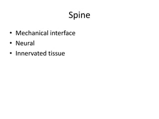 Spine
• Mechanical interface
• Neural
• Innervated tissue

 