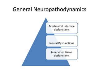 General Neuropathodynamics
Mechanical interface
dysfunctions

Neural Dysfunctions
Innervated tissue
dysfunctions

 