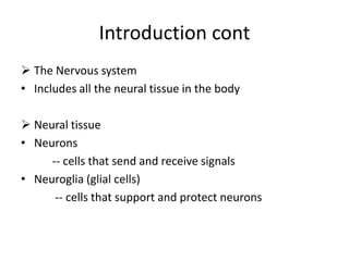 Introduction cont
 The Nervous system
• Includes all the neural tissue in the body
 Neural tissue
• Neurons
-- cells that send and receive signals
• Neuroglia (glial cells)
-- cells that support and protect neurons

 
