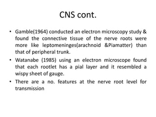 CNS cont.
• Gamble(1964) conducted an electron microscopy study &
found the connective tissue of the nerve roots were
more like leptomeninges(arachnoid &Piamatter) than
that of peripheral trunk.
• Watanabe (1985) using an electron microscope found
that each rootlet has a pial layer and it resembled a
wispy sheet of gauge.
• There are a no. features at the nerve root level for
transmission

 