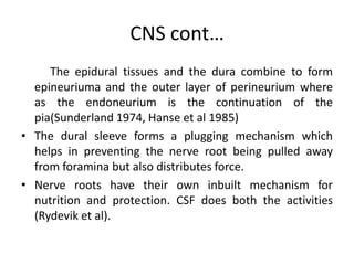 CNS cont…
The epidural tissues and the dura combine to form
epineuriuma and the outer layer of perineurium where
as the endoneurium is the continuation of the
pia(Sunderland 1974, Hanse et al 1985)
• The dural sleeve forms a plugging mechanism which
helps in preventing the nerve root being pulled away
from foramina but also distributes force.
• Nerve roots have their own inbuilt mechanism for
nutrition and protection. CSF does both the activities
(Rydevik et al).

 