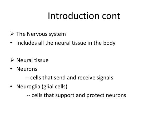 butler mobilization of the nervous system pdf