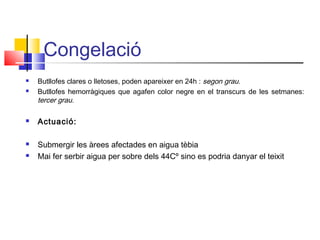 Congelació
 Butllofes clares o lletoses, poden apareixer en 24h : segon grau.
 Butllofes hemorràgiques que agafen color negre en el transcurs de les setmanes:
tercer grau.
 Actuació:
 Submergir les àrees afectades en aigua tèbia
 Mai fer serbir aigua per sobre dels 44Cº sino es podria danyar el teixit
 