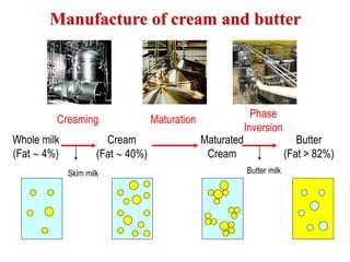 Creaming Maturation
Phase
Inversion
Manufacture of cream and butter
Skim milk Butter milk
Whole milk
(Fat  4%)
Cream
(Fat  40%)
Maturated
Cream
Butter
(Fat > 82%)
 
