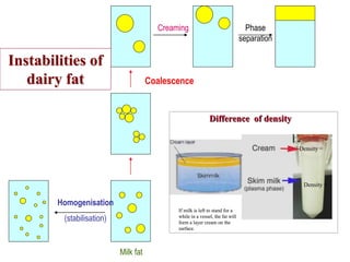 Phase
separation
Creaming
Coalescence
Homogenisation
(stabilisation)
Milk fat
Instabilities of
dairy fat
Difference of density
Difference of density
Density =
Density =
If milk is left to stand for a
while in a vessel, the fat will
form a layer cream on the
surface.
Difference of density
Difference of density
Density =
Density =
Density =
Density =
If milk is left to stand for a
while in a vessel, the fat will
form a layer cream on the
surface.
 