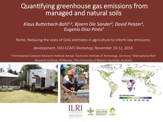 Quan&fying greenhouse gas emissions from 
managed and natural soils 
Klaus 
Bu(erbach-­‐Bahl1,2, 
Bjoern 
Ole 
Sander3, 
David 
Pelster1, 
Eugenio 
Díaz-­‐Pinés2 
Rome, Reducing the costs of GHG es&mates in agriculture to inform low emissions 
development, FAO-­‐CCAFS Workshop, November 10-­‐12, 2014 
1Interna(onal Livestock Research Ins(tute, Kenya; 2Karlsruhe Ins(tute of Technology, Germany; 3Interna(onal Rice 
Research Ins(tute, Phillipines; 4The University of Western Australia, Australia 
 