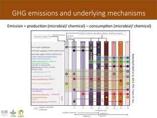 Butterbach Bahl Quantifiying ghg emissions soils chamber method Nov 11 2014