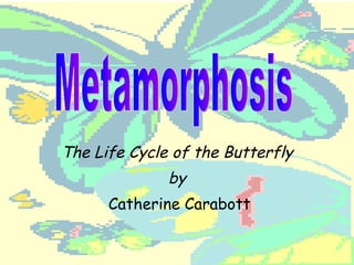 The Life Cycle of the Butterfly by Catherine Carabott Metamorphosis 