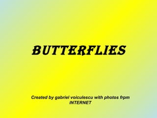 Butterflies Created by gabriel voiculescu with photos frpm INTERNET 